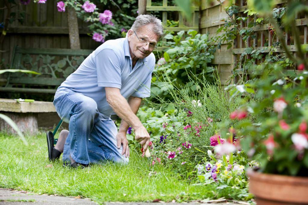 Весенние работы в саду - что нужно сделать в саду в марте и апреле?