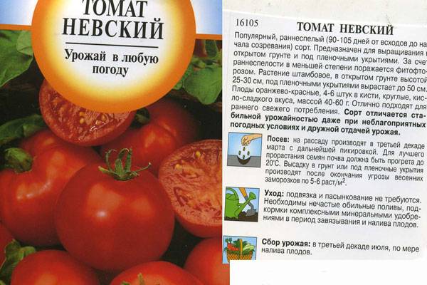 Томат москвич - отличный сорт для регионов с коротким летом