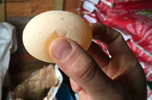 Скорлупа яиц в рационе цыплят, кур и бройлеров – как давать