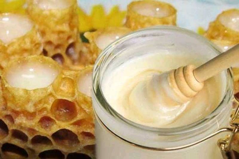 Мед с маточным молочком: польза и как отличить подделку