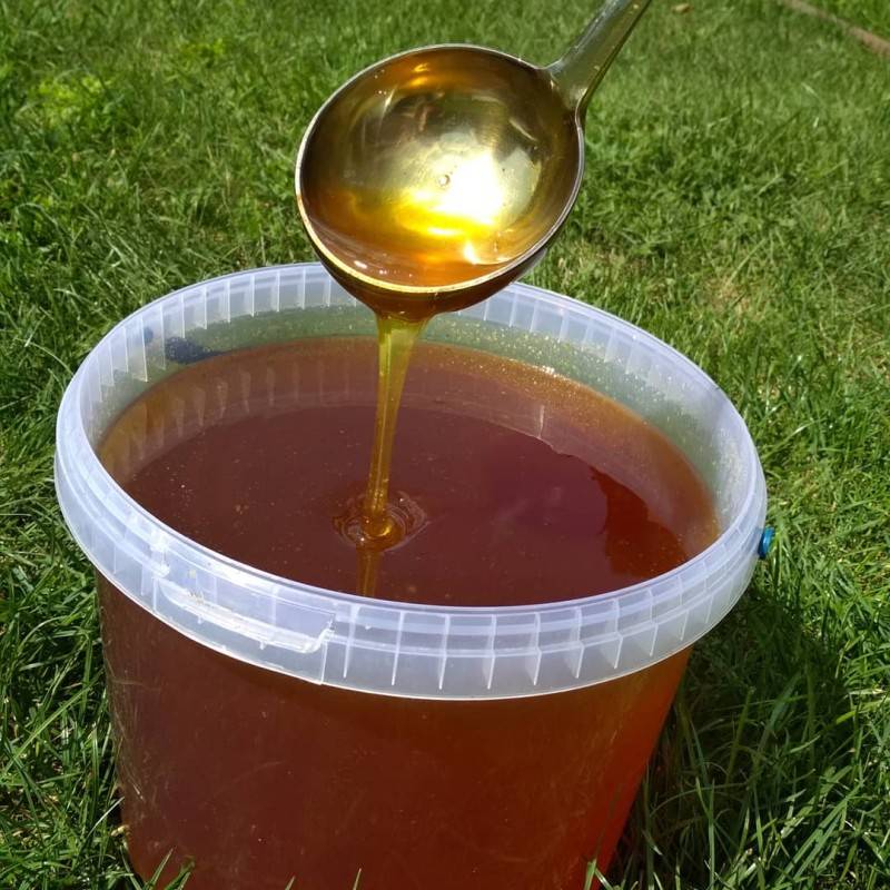 Луговой мёд