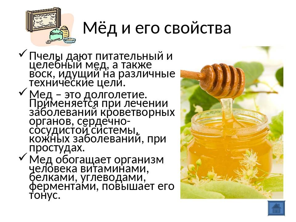 Подсолнечный мёд: свойства и особенности употребления