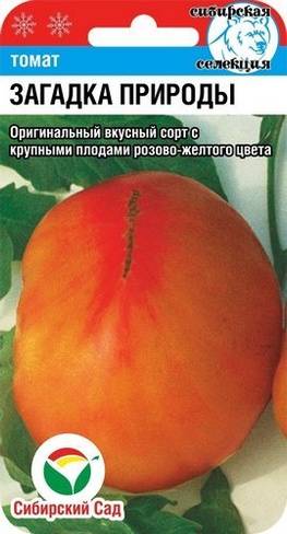 Томат загадка природы: описание, отзывы, фото, урожайность | tomatland.ru