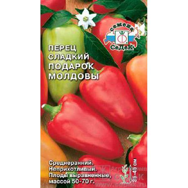 Перец подарок молдовы: характеристика и описание сорта, фото, отзывы тех, кто сажал