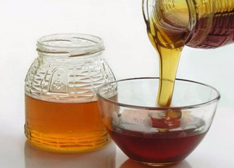 Чернокленовый мед: полезные свойства и противопоказания