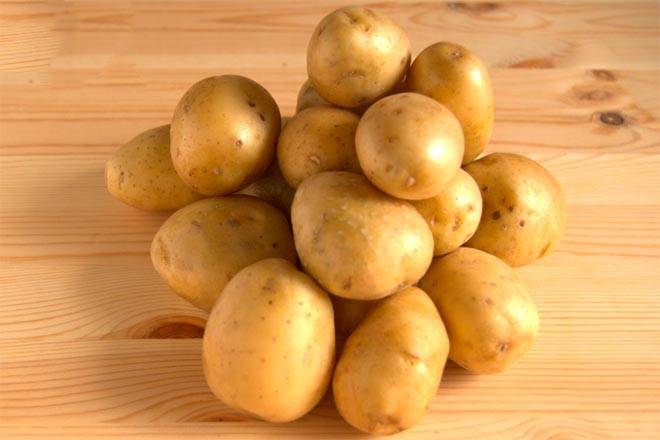 Картофель сорта «импала»: характеристика и достоинства, фото. особенности выращивания сортового картофеля «импала»
