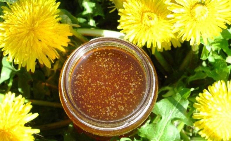 Луговой мед — ценный башкирский продукт