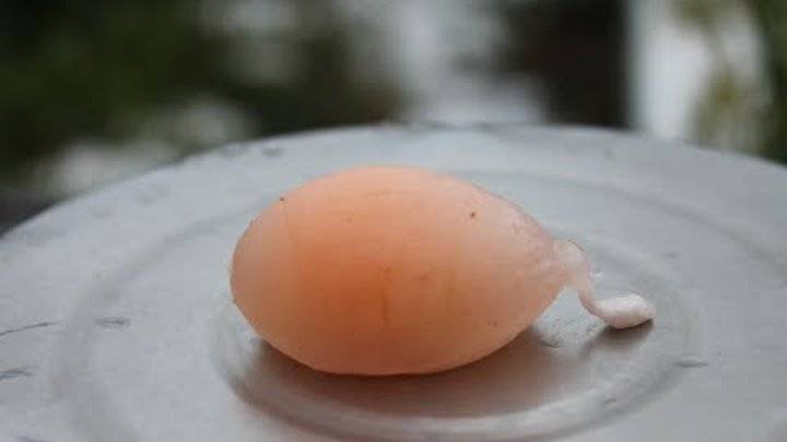 Яйца без скорлупы – как решить проблему?