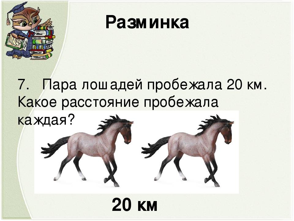 Самые быстрые породы лошадей