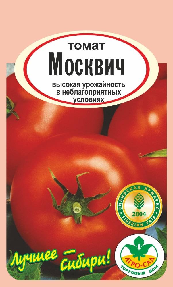 Томаты «москвич»: описание сорта, характеристики плодов, отзывы