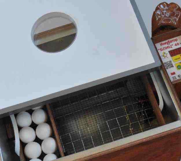 Выбор инкубатора – читаем правду жизни! статья о нюансах инкубаторов для яиц и как их выбрать и на что смотреть.