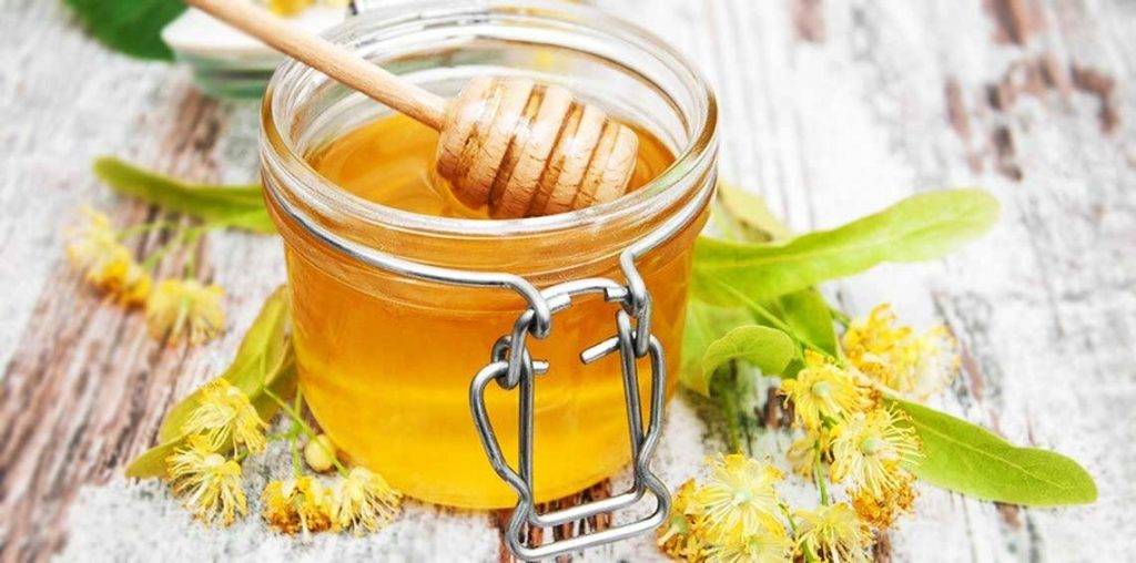 Лесной мед (мед разнотравье) и его полезные свойства