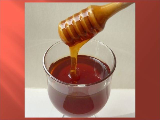 Каштановый мед: полезные свойства, противопоказания, польза и вред