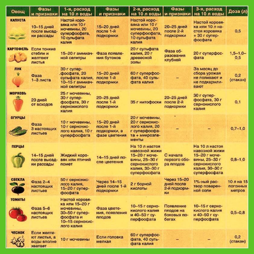 Календарь-подсказка по посадке картофеля, свеклы, моркови и других корнеплодов + лунный календарь на 2021