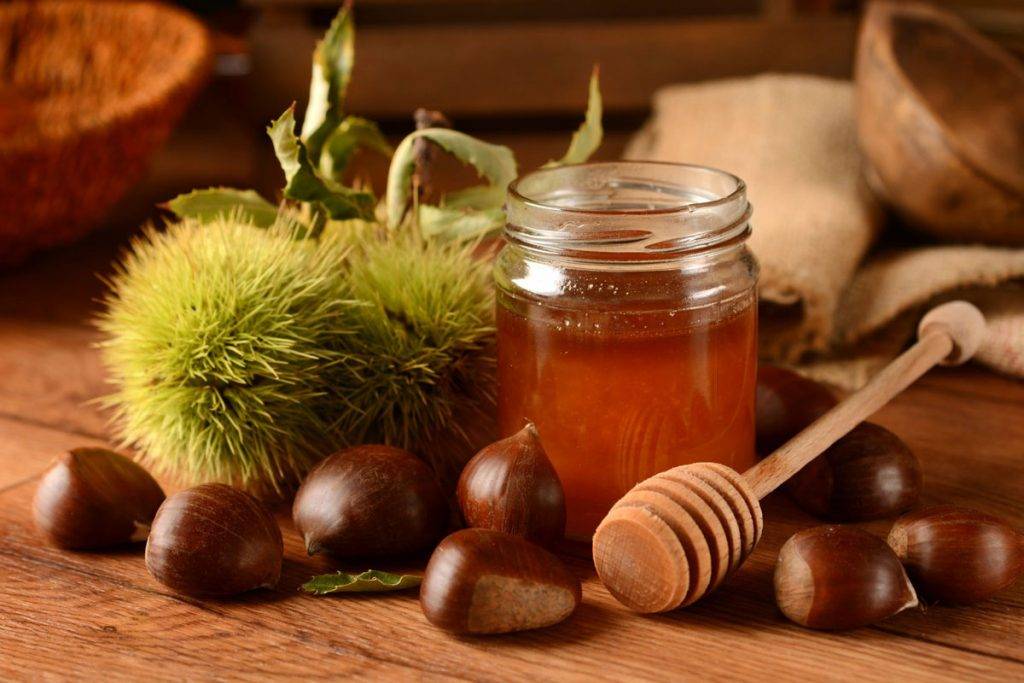 Лесной мёд: описание. состав. полезные свойства. рецепты - медовый сундучок
