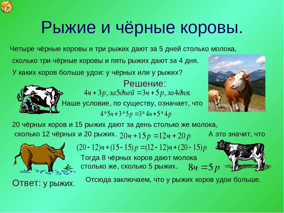 Сколько корова даёт молока за сутки в зависимости от времени года, породы и других показателей