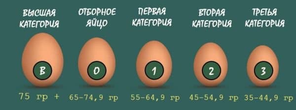 Категории яиц по госту: сколько весит 1 яйцо куриное без скорлупы, масса сырого и вареного, классификация и виды (скачать госты)
