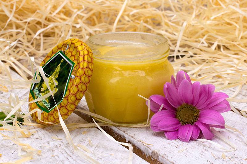 Каштановый мед: полезные свойства и противопоказания | мёд | пчеловод.ком