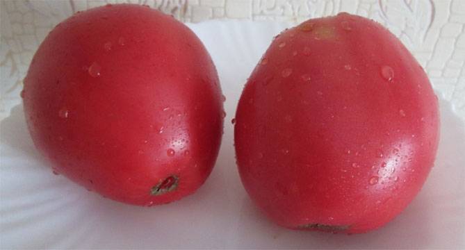 На любой вкус и цвет: урожайный сорт помидоров кенигсберг