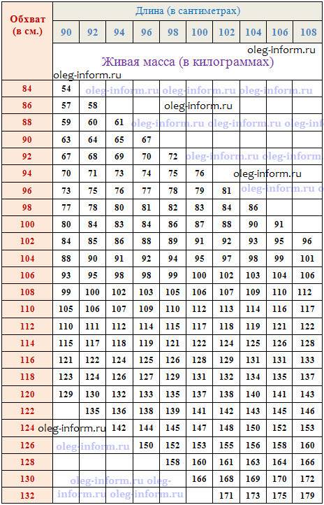 ✅ как узнать вес быка без весов (таблица измерения крс, лента обмера)