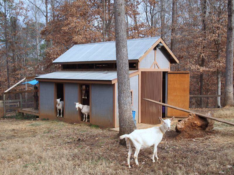 Требования к сараю для коз, его строительство своими руками