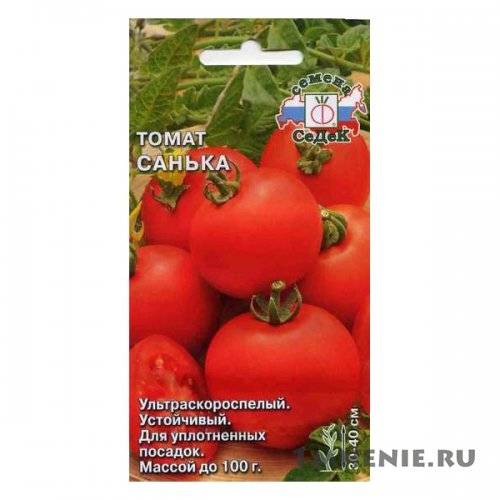 Томат санька: посадка, уход и урожайность сорта. описание вкуса и особенности ухода за помидором