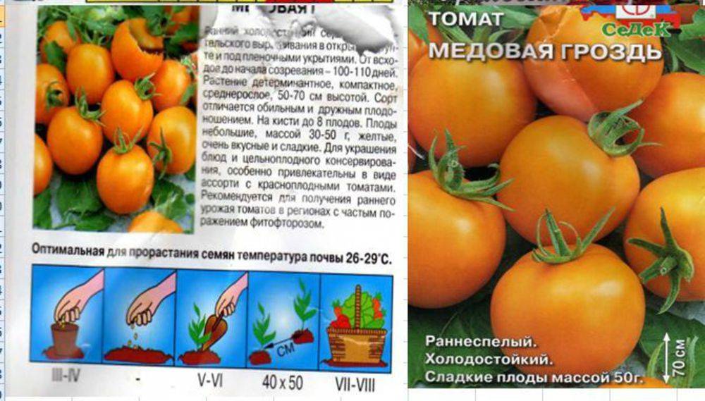 Описание и характеристики сорта медовая капля – томата с нарядными и вкусными плодами