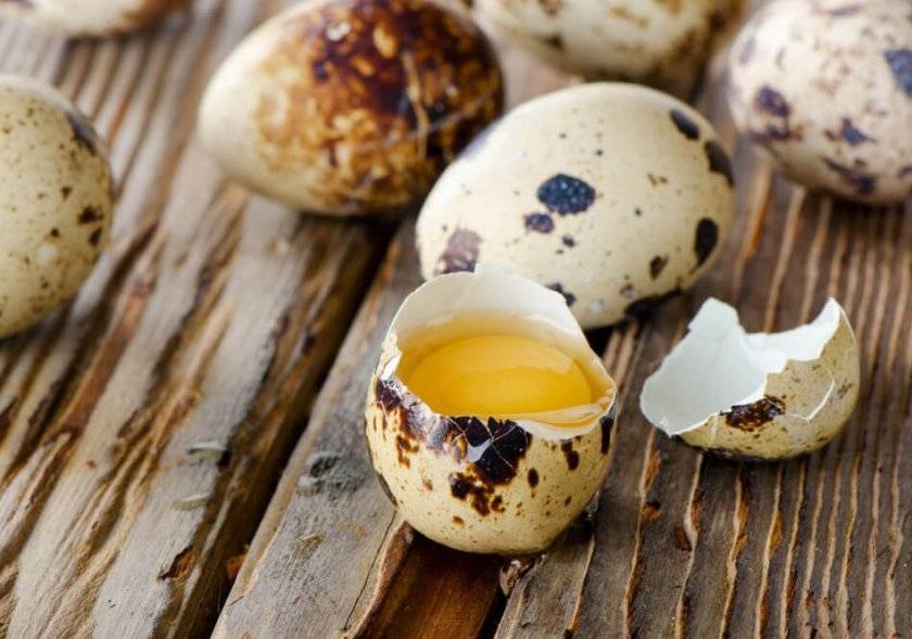 Кому и почему полезно кушать перепелиные яйца и мясо