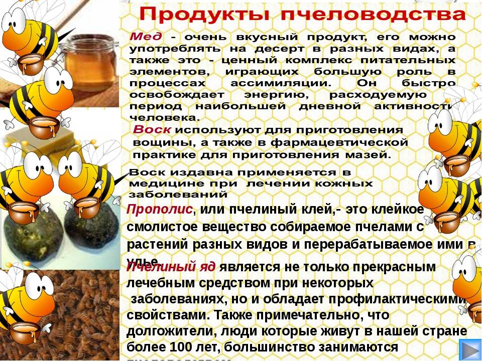 Каштановый мед: полезные свойства и противопоказания