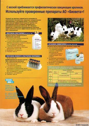 Прививки кроликам :какие и когда делать