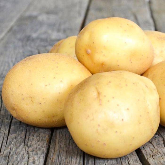 Картофель «невский»: характеристика и описание сорта