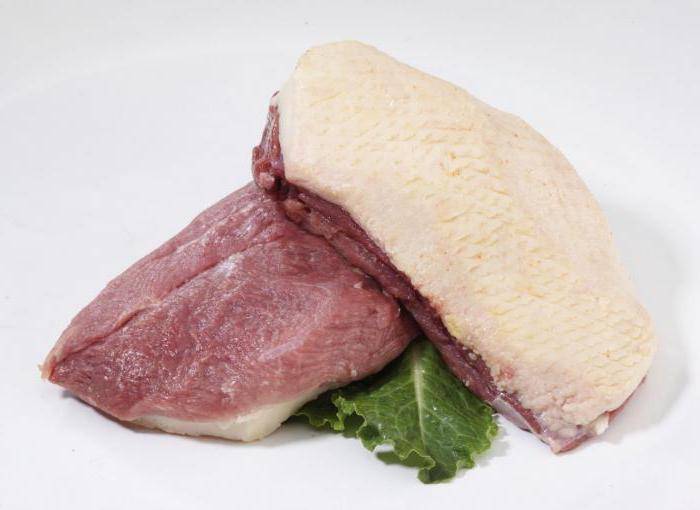 Мясо утки: как выбрать, польза и вред, калорийность, фото