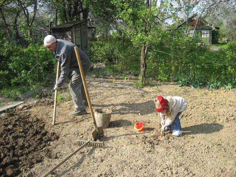 Календарь садово-огородных работ на апрель. работы в саду и огороде в апреле — ботаничка.ru
