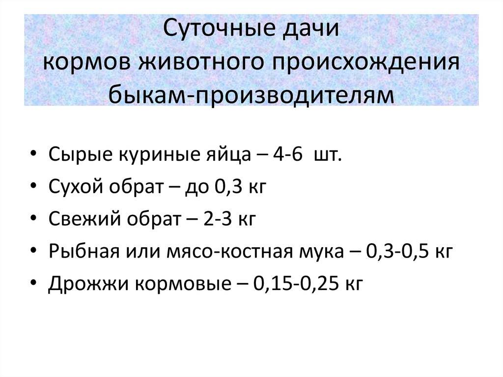 Рацион откорма бычков на мясо в короткие сроки для быстрого роста и набора массы телят