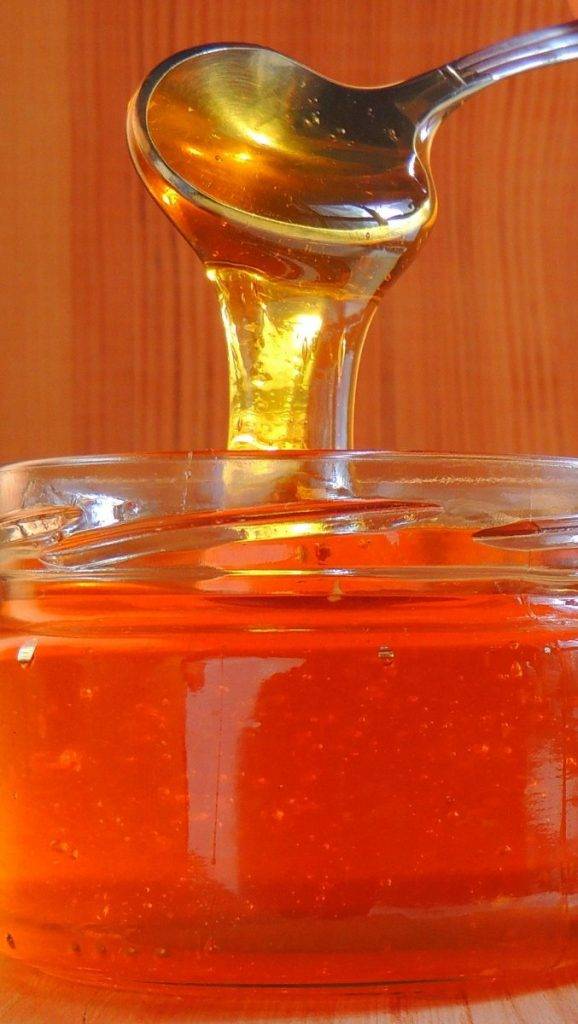 Как нужно хранить мед в домашних условиях, основные правила и советы