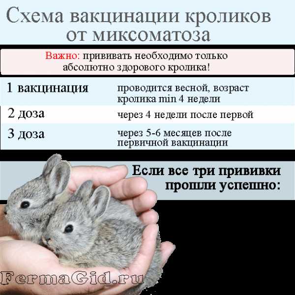 Болезни кроликов