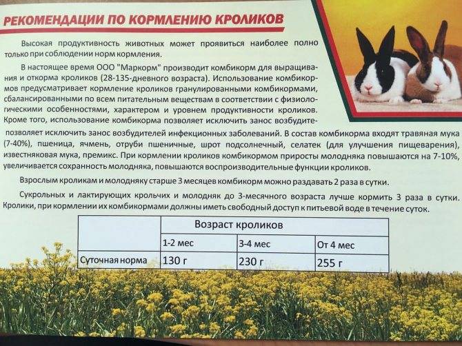 Топинамбур как корм для птицы. топинамбур (земляная груша)-ценный корм в животноводстве. травы, которые можно давать курам