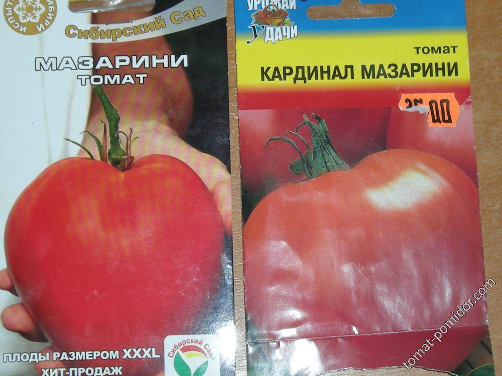 Томат кардинал описание сорта помидор характеристика и отзывы
