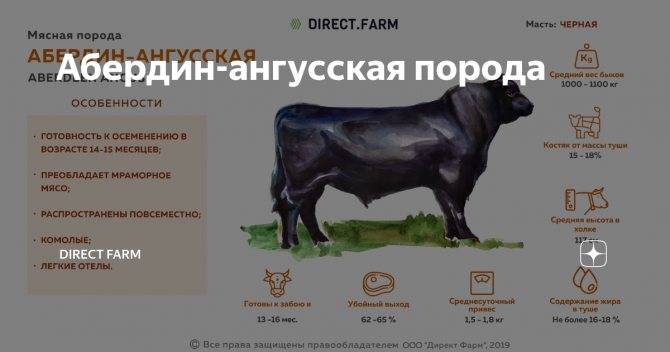 Якутская порода коров может стать еще одним брендом республики