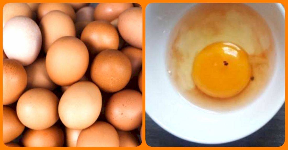 Вред сырых куриных яиц и польза для организма человека - состав, сколько можно