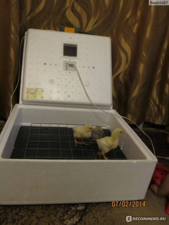 Инкубатор автоматический «умная наседка» на 63 яйца