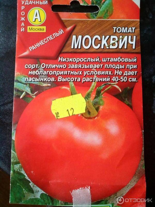 Обзор сорта томата «москвичка»: плюсы и минусы, а так же как получить хороший урожай