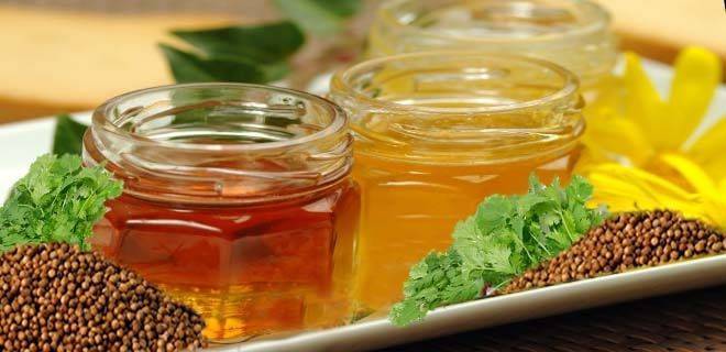 Кориандровый мёд: полезные свойства, применение и хранение