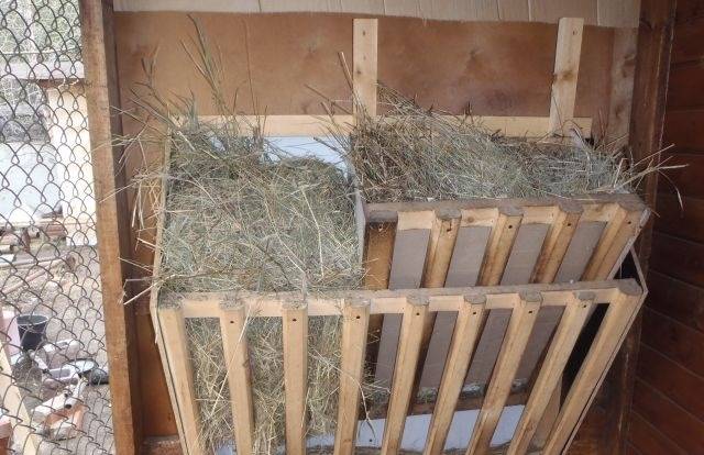 Кормушка для коз: как сделать под сено, мастерим своими руками для разного возраста животных