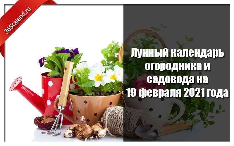 Календарь работ в саду и огороде по месяцам на 2021 и 2022 год