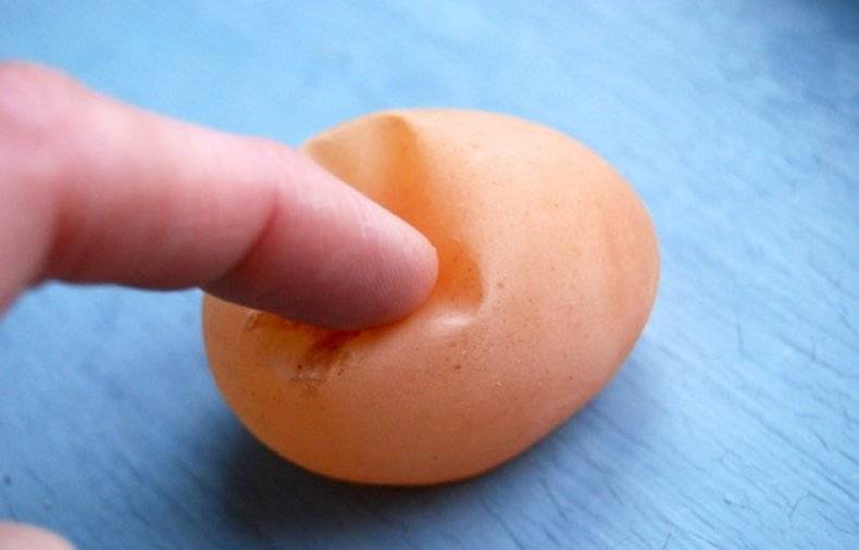 По каким причинам куры несут мелкие яйца, пути решения проблемы