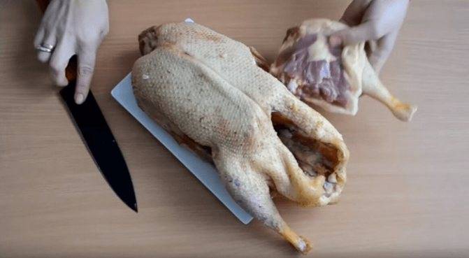 Забой гусей: сколько держать, когда рубить, как разделать на мясо в домашних условиях