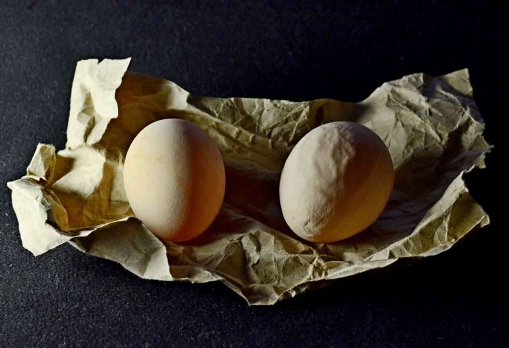 Причины нарушения формирования оболочки или почему скорлупа у яиц мягкая?