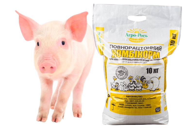 Что необходимо знать при выборе комбикорма для свиней