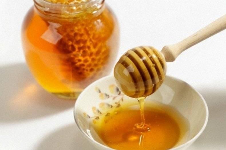 Польза и вред мёда с кедровой живицей